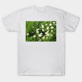 Lawn with Daisies T-Shirt